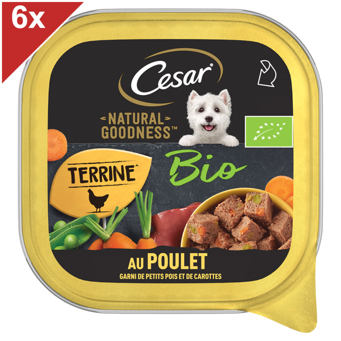 CESAR Barquettes Natural Goodness Bio Terrine Poulet pour chien adulte 6x100g