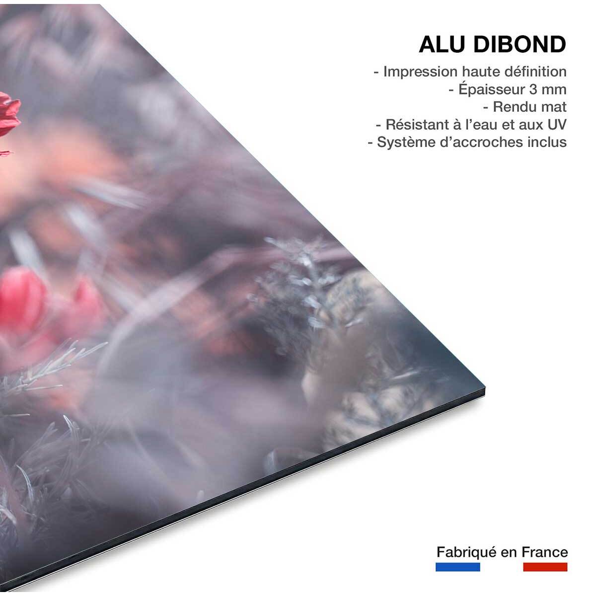 Tableau fleurs carmen  Tableau alu Dibond