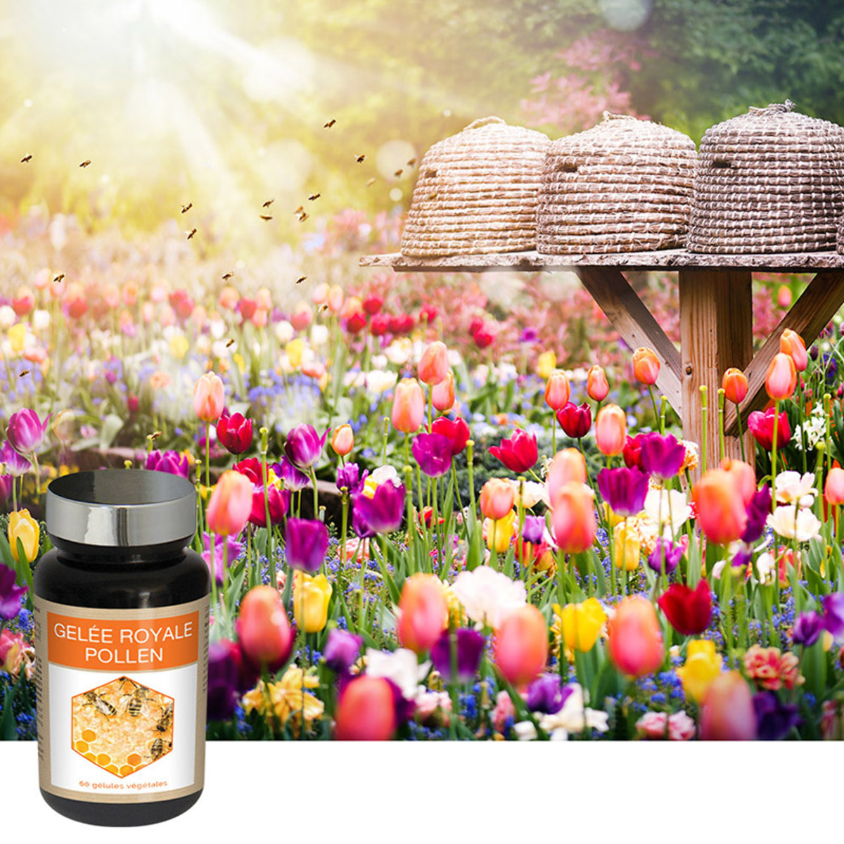 NUTRI EXPERT - Gelée Royale Pollen - Complément alimentaire - Soutien des défenses naturelles - Tonus & Vitalité - Aide à réduire la Fatigue - 60 Gélules