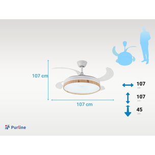 Ventilateur de plafond rétractable avec lumière LED et minuterie