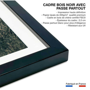 Affiche lion mon roi Affiche + cadre en bois - Noir