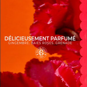 Gingembre Rouge - Coffret Trio Savons Bienfaisants