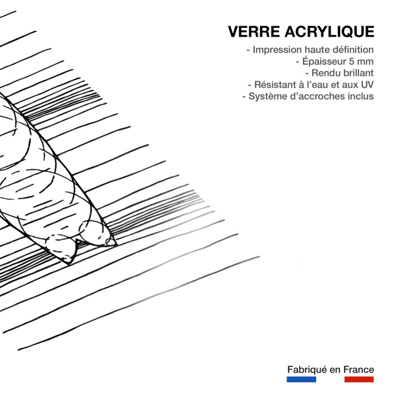 Tableau surf géo Tableau plexiglas
