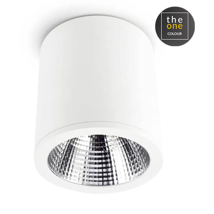 LEDS C4 Plafon Exit 25.9W 3000K Cri 80 Blanco Ip23 2284Lm