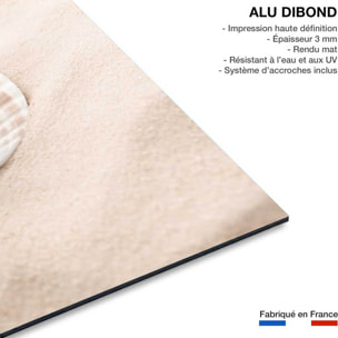 Tableau coquillage Tableau alu Dibond