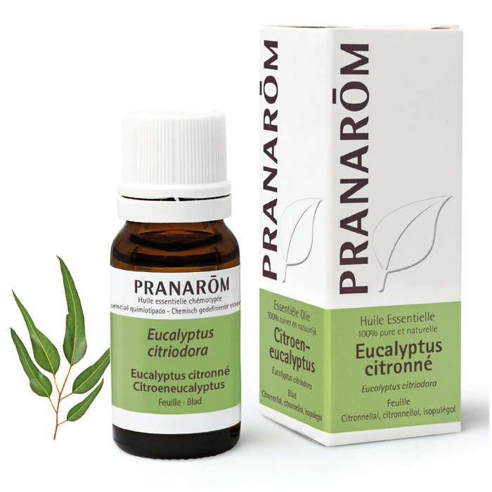 Pranarom - Huile Essentielle d'Eucalyptus citronné - 10 ml