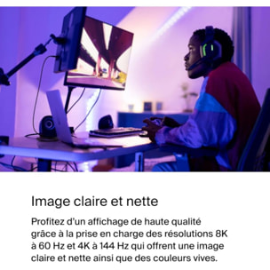 Connecteur BELKIN vers DisplayPort 1.4 noir 2M