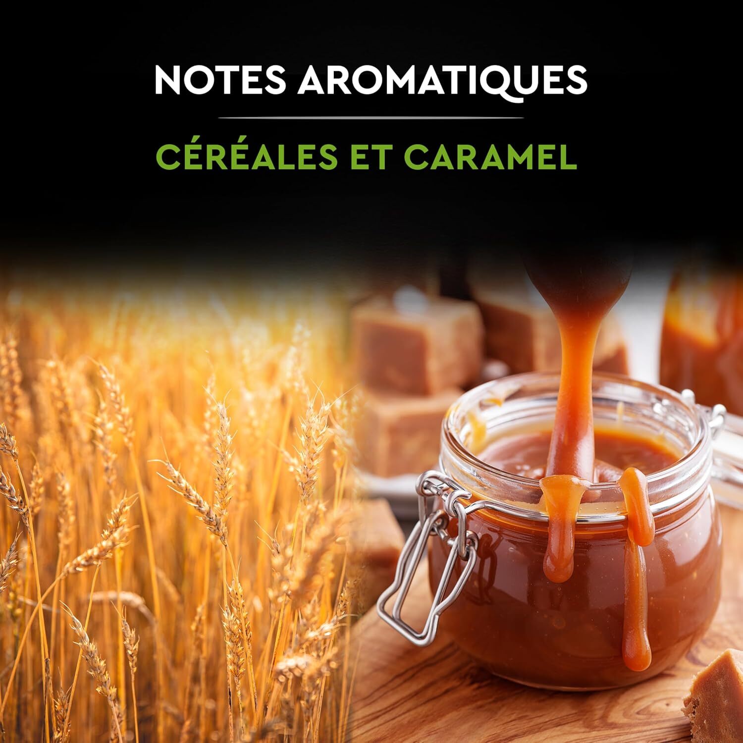 CAFE BIO - Café biologique torréfié et moulu