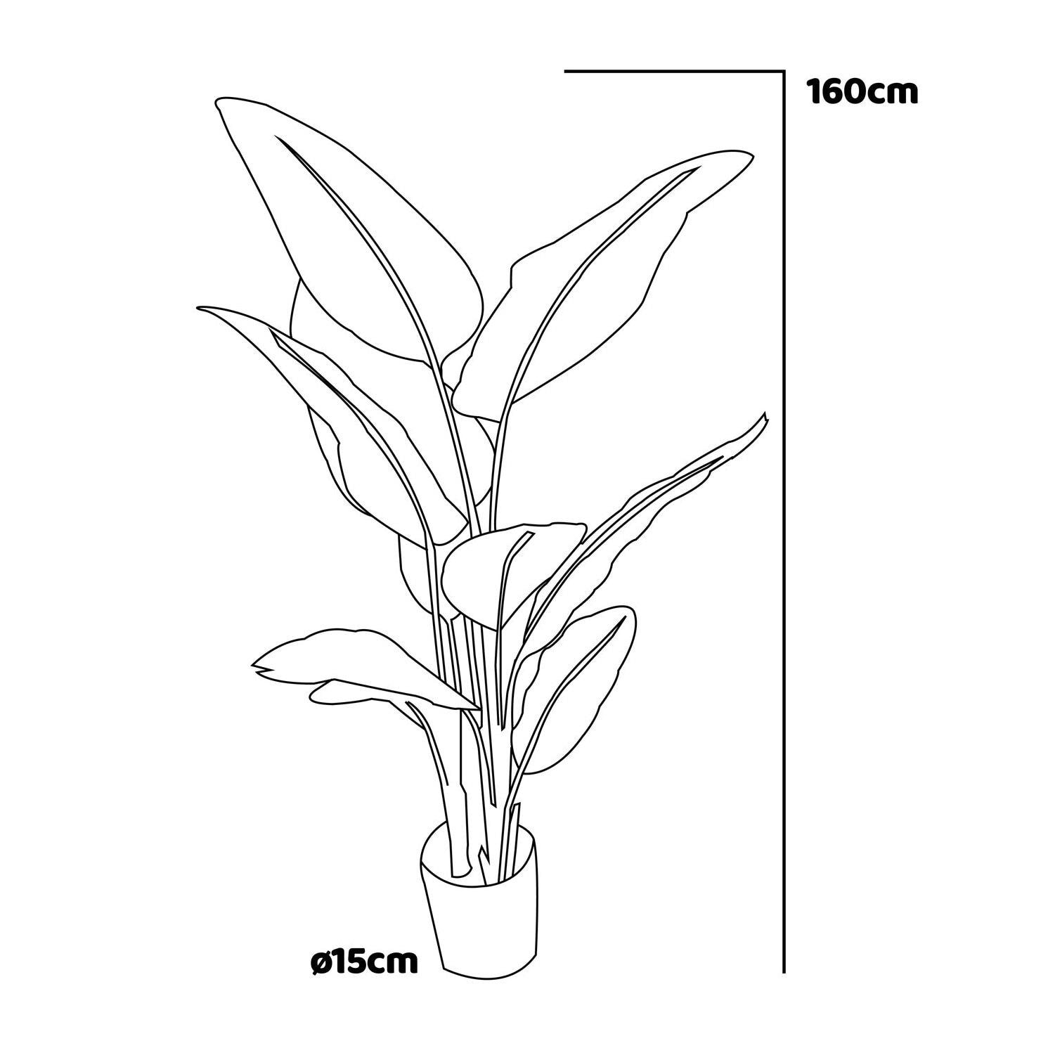 Traveller Banana - Pianta artificiale in vaso H160 cm