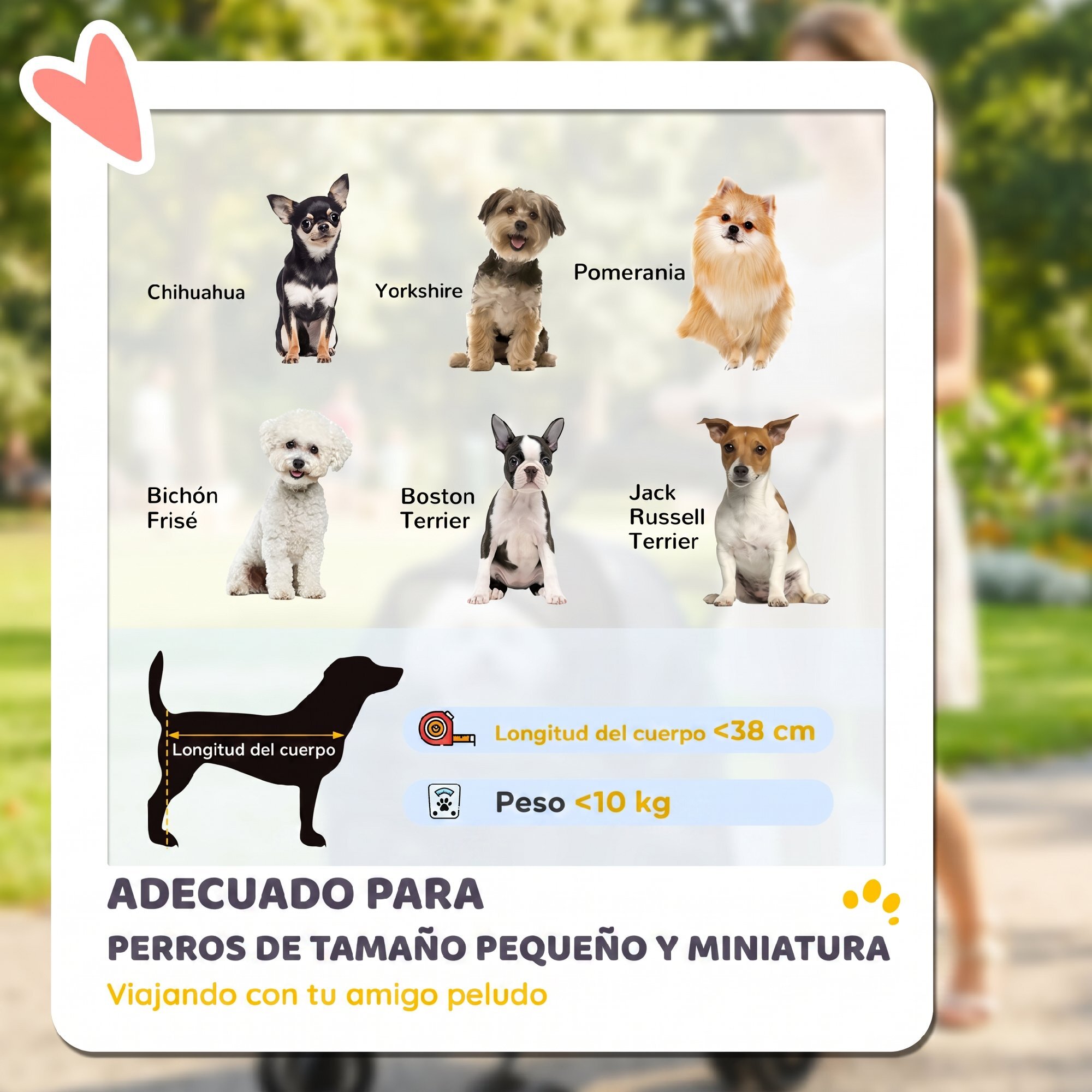 Cochecito para Perros Plegable, hasta 10 kg, Carrito para Perros Pequeños y Gatos de 4 Ruedas de EVA, Giratorio y Freno, Ventanas de Malla, Cojín Extraíble, Bandeja y Portavasos, Ligero, Gris