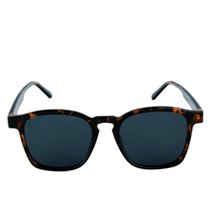 le mans brown sunglasses