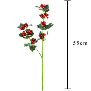 Agrifoglio - Pezzi 24 - 20xH55x6cm - Bianchi Dino SpA