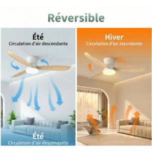 Ventilateur Plafond LED BOREAL D107CM
