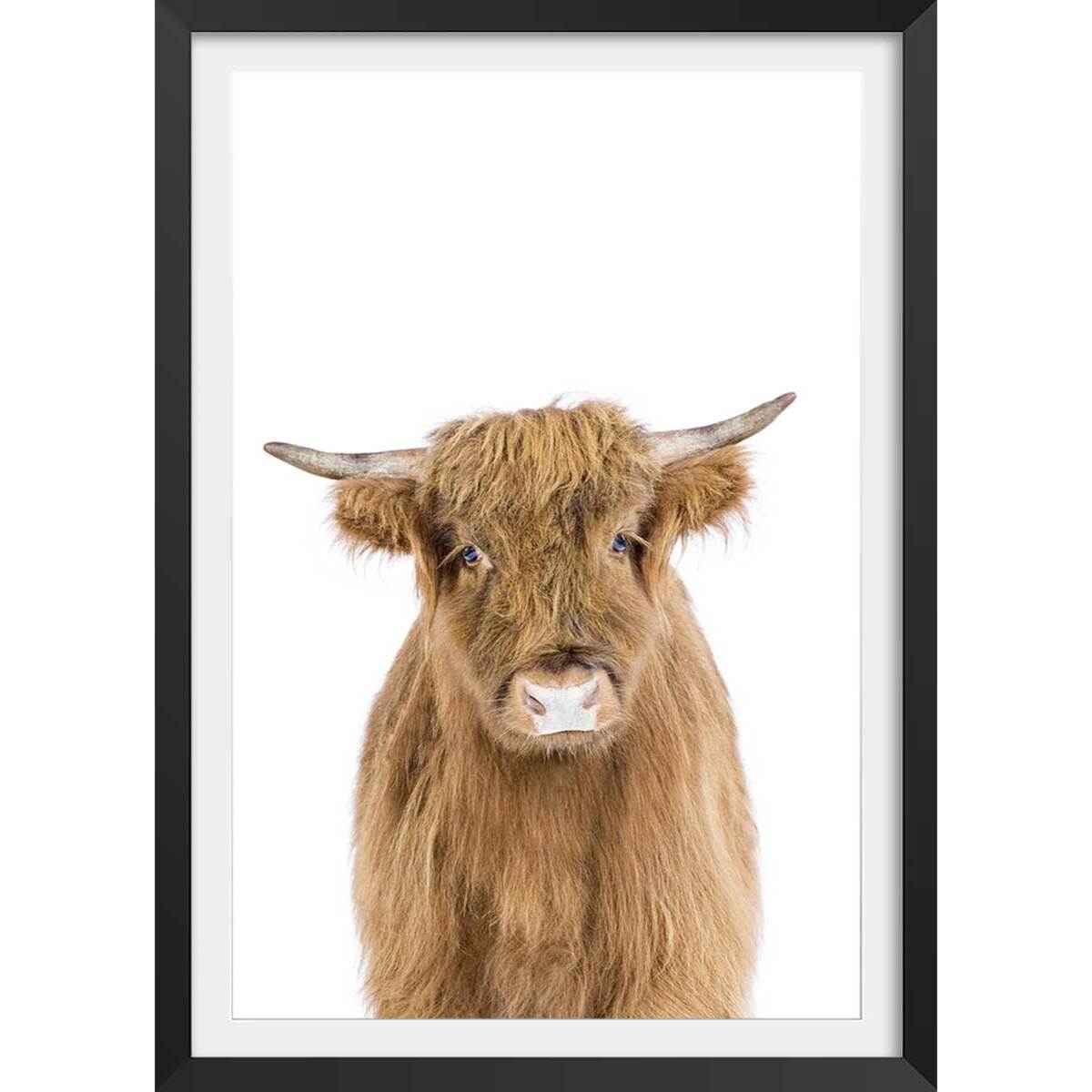 Affiche enfant bébé vache Affiche + cadre en bois - Noir