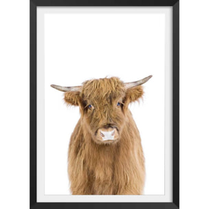 Affiche enfant bébé vache Affiche + cadre en bois - Noir