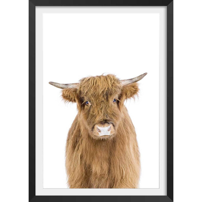 Affiche enfant bébé vache Affiche + cadre en bois - Noir