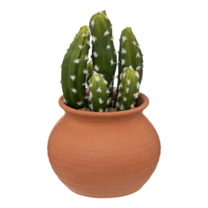 Cactus en pot "Alicante" terracotta H16,5cm