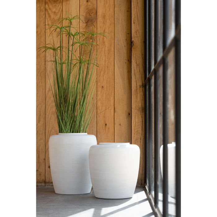 J-Line cyperus alternifolius 5 têtes en pot - plastique - vert - small
