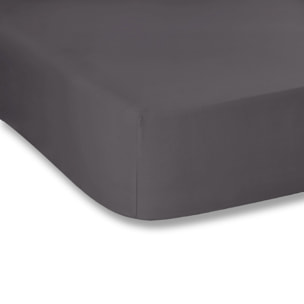 WHITE & WHITE Lenzuolo con angoli singolo 100% cotone raso tortora