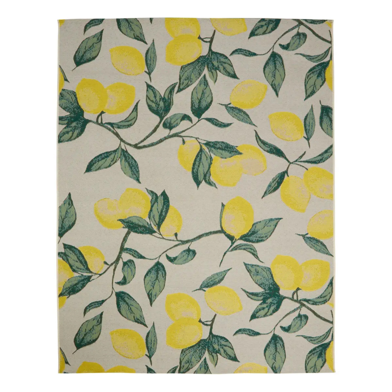 Tapis d'extérieur Kepa 200x150cm