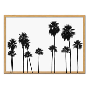 Affiche - Palm Trees LA - Philippe Hugonnard