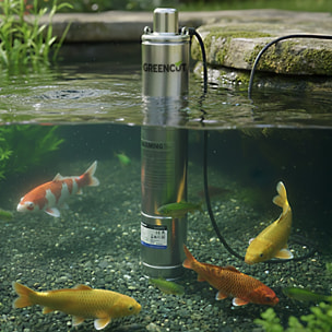 Bomba sumergible de 550 W con caudal máximo de 30 L/min y altura de bombeo hasta 50 m, ideal para aguas claras y pozos - GREENCUT BAS550C