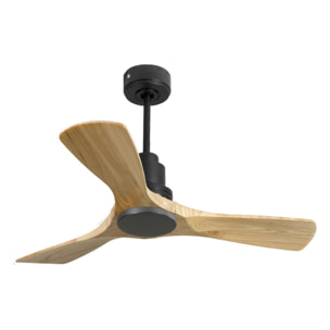 Ventilateur de plafond Réversible  Thermostat Wifi Moteur à courant continu Toits en pente Télécommande Hypersilence Mémoire