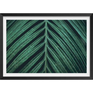 Affiche feuille palmen Affiche + cadre en bois - Noir