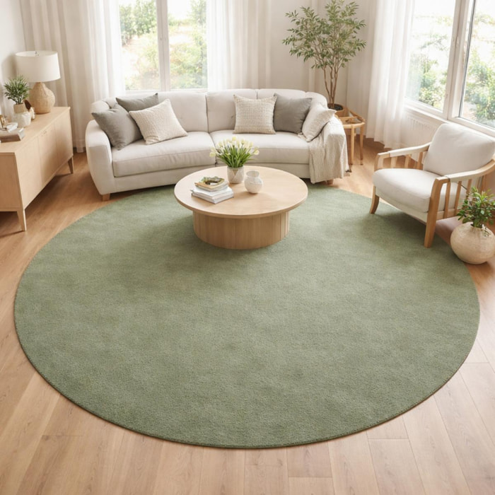 Tapis salon MITA, soft et soyeux, tapis uni à l'aspect Shaggy