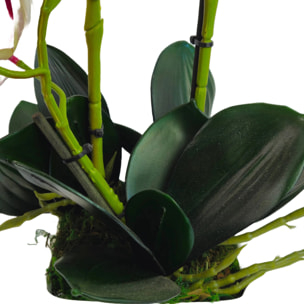 Pianta Artificiale Orchidea con vaso ondulato