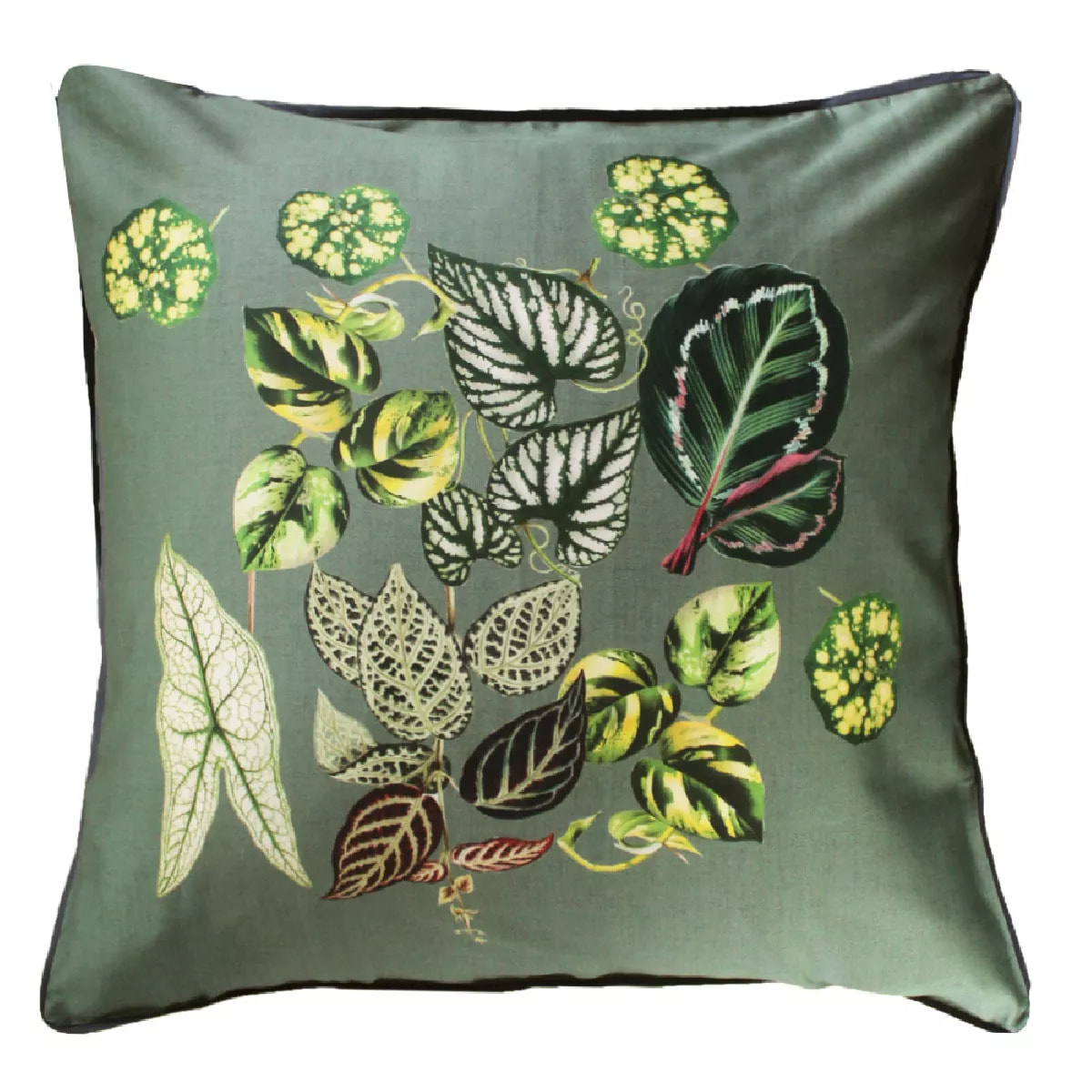 Taie d'oreiller Jardin d'hiver sauge