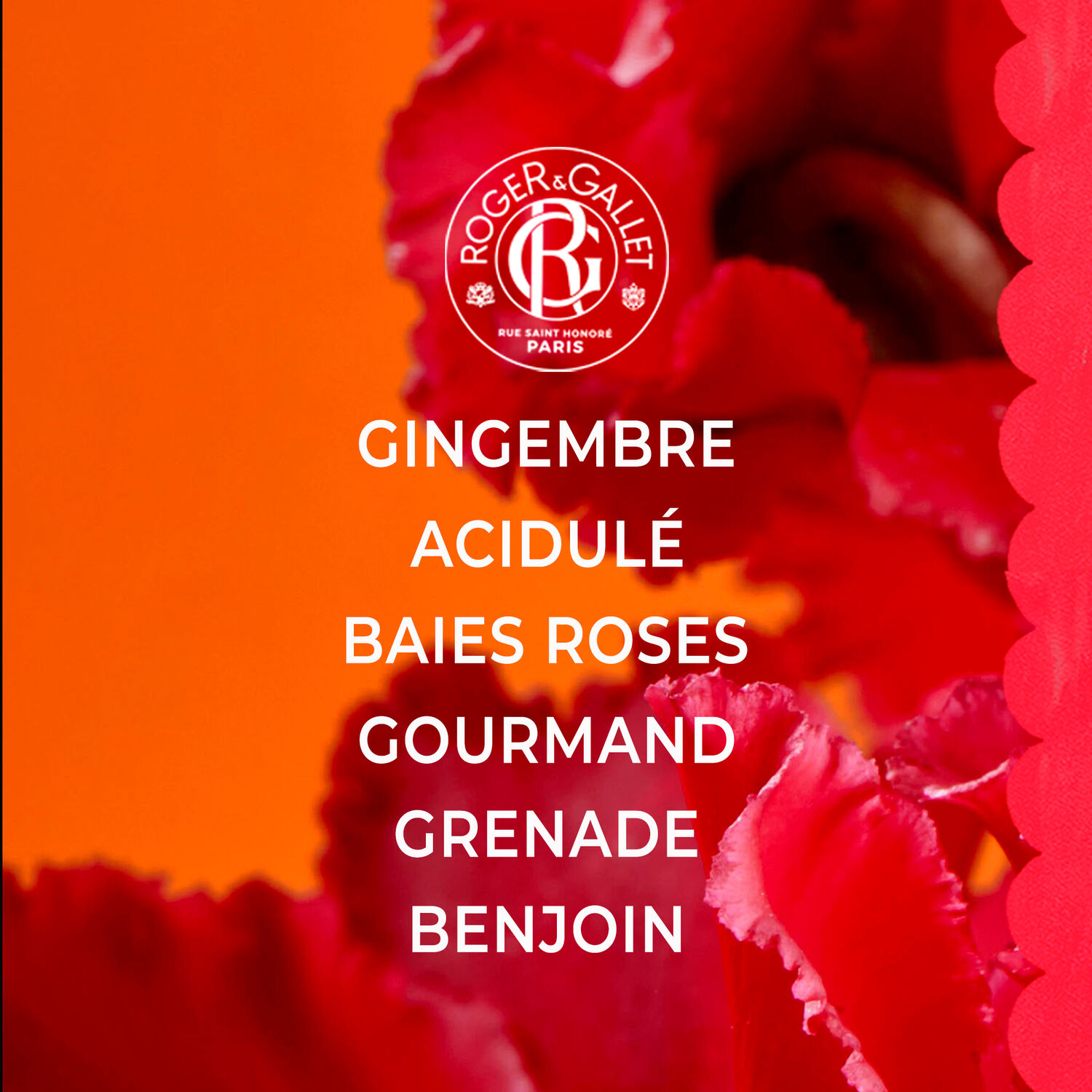 Gingembre Rouge - Parfum Solide Bienfaisant 5 g