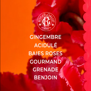 Gingembre Rouge - Parfum Solide Bienfaisant 5 g