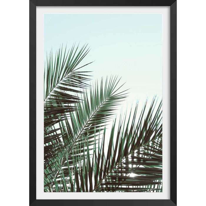 Poster palme verte Affiche + cadre en bois - Noir