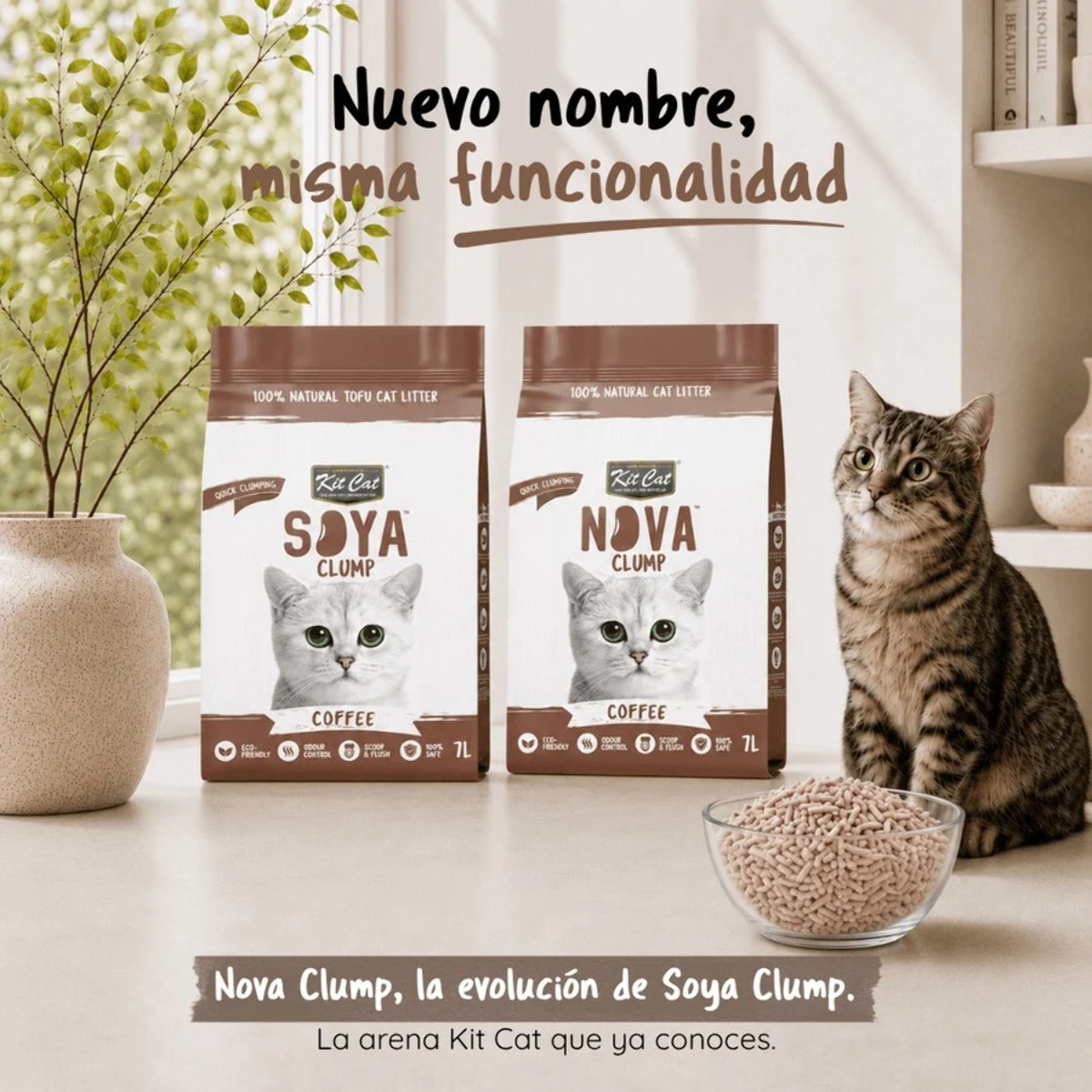 Pack 6 Kit Cat Arena Eco Nova Clump - Coffee 7 L Arena para gatos - Aroma Discreto Café