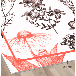 Alfombra de vinilo CERAMIKO, Plantas medicinales rojo 66x150 cm