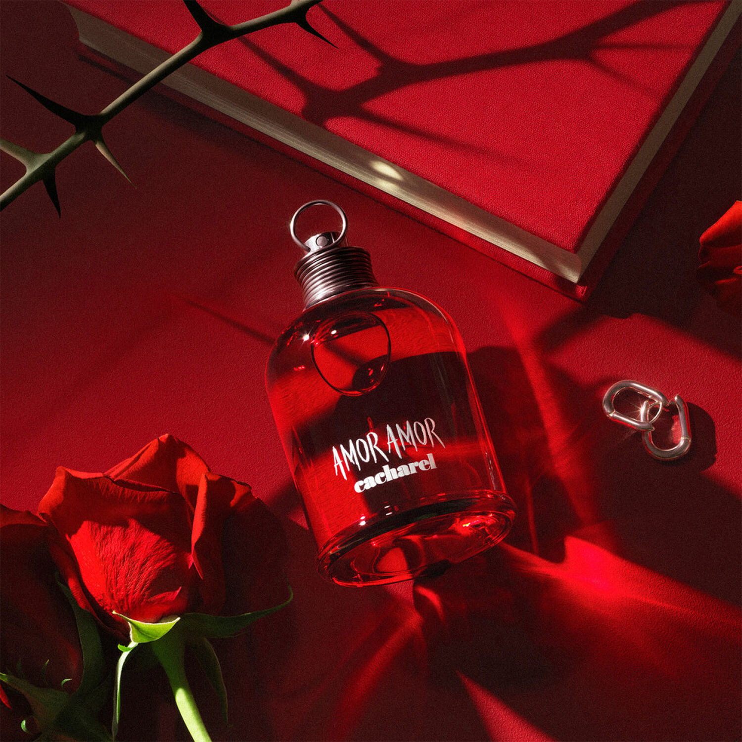 Amor Amor  - Eau de Toilette