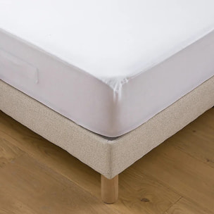 Protege Matelas 100% Polyester 75gsm Quilte Blanc