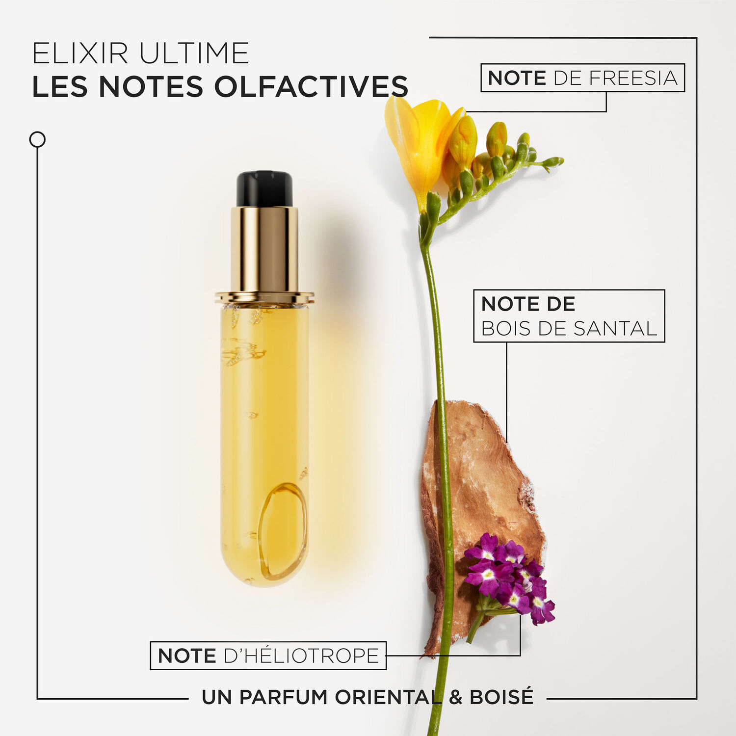 L'Huile Originale  - Recharge Huile nourrissante pour tous types de cheveux