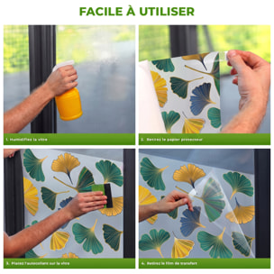 Adhésif Film Fenêtre Anti Regard Occultant - FEUILLES GINKGO AUTOMNE
