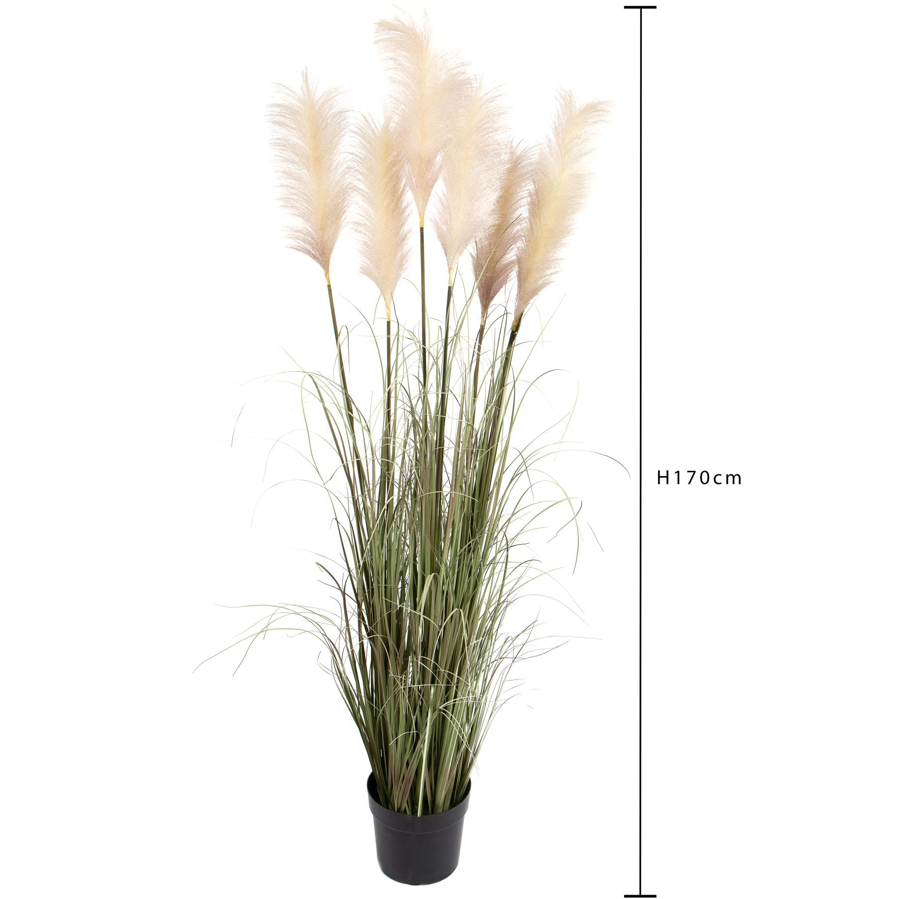 Festuca Glauca Con Vaso H.175 Cm - Pezzi 1 - 60X175X60cm - Colore: Bianco - Bianchi Dino - Piante Artificiali