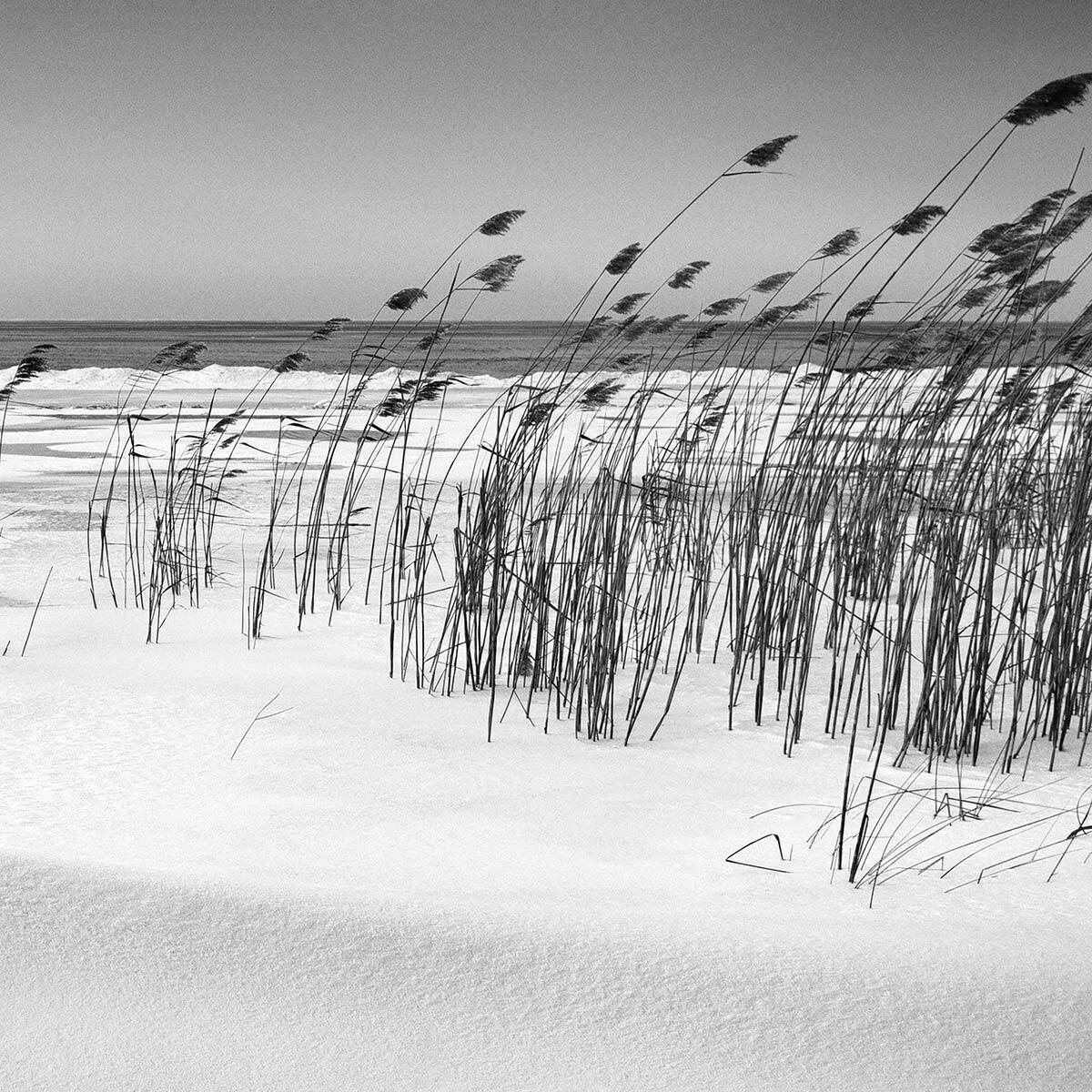 Papier peint plage des landes en n&b Intissé