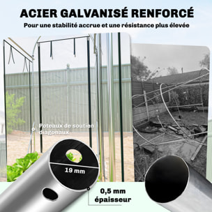 Serre à tomates - serre tunnel - 8 portes déroulantes - transparent