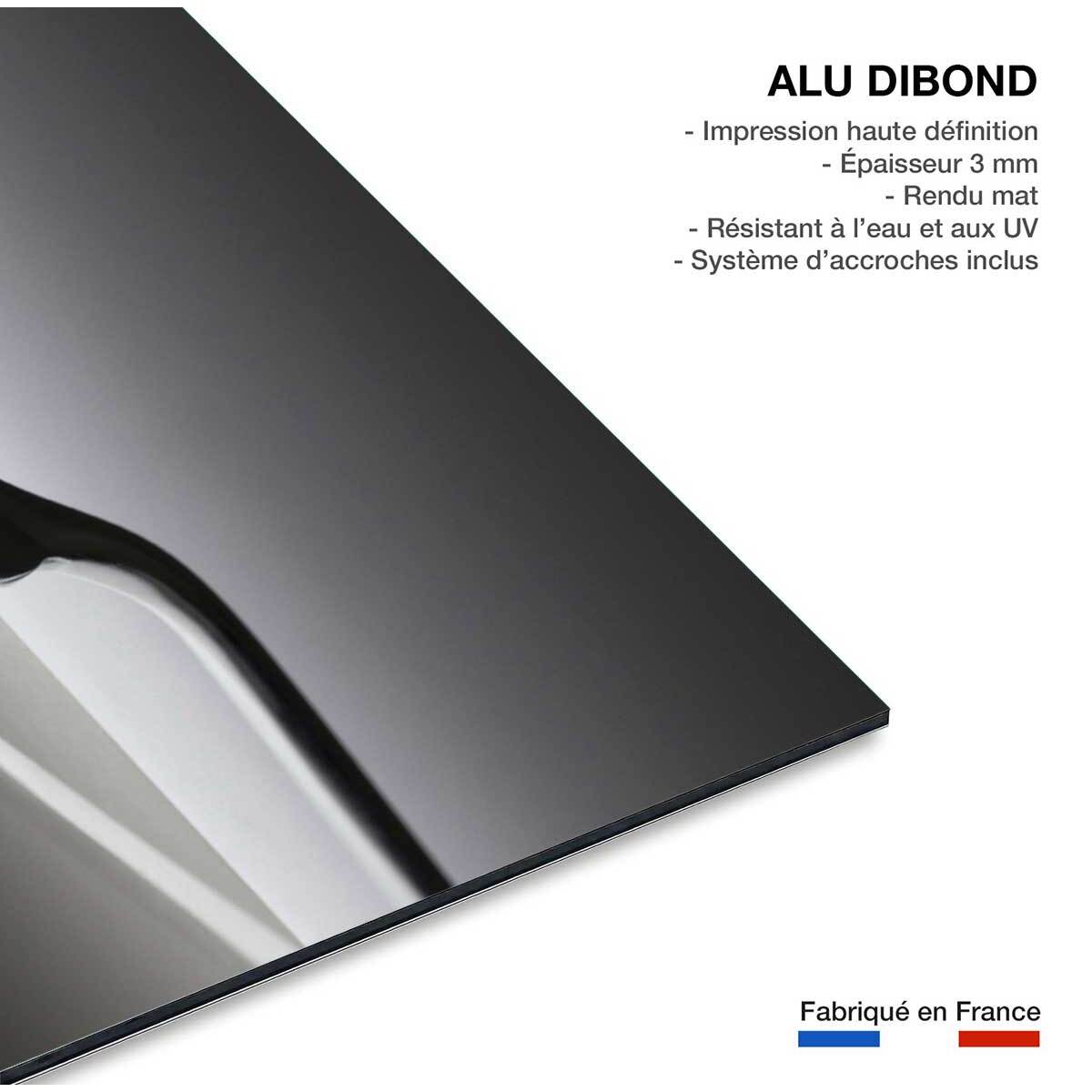 Tableaux cuisine duo de fourchette  Tableau alu Dibond