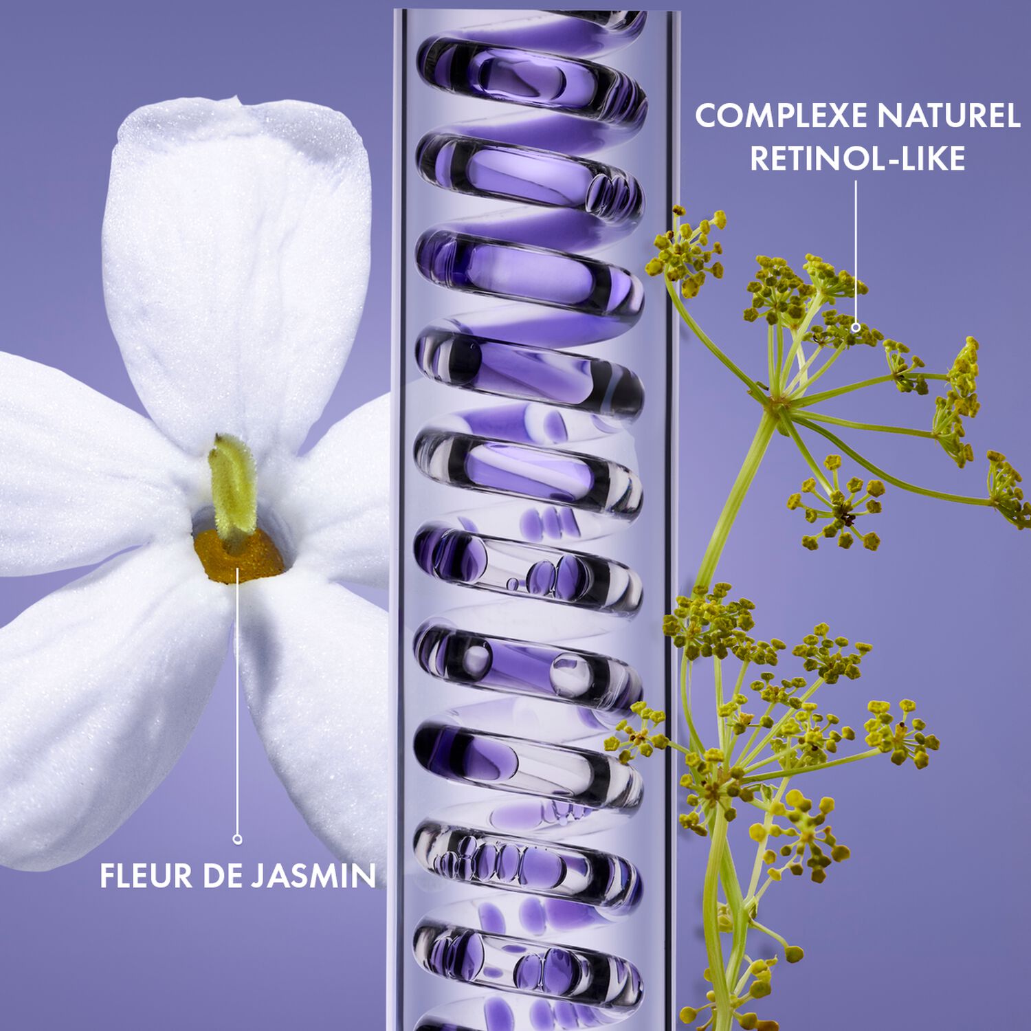 Nectar Sublime - Crème Velours Redensifiante