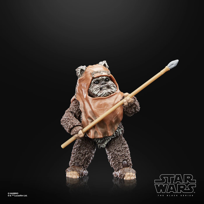 Sw Bl Roj Wicket Af Action Figura Hasbro