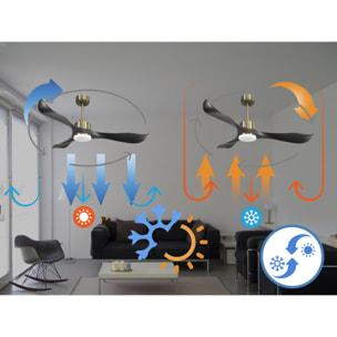 Ventilateur de plafond Réversible  Thermostat Dimmable Wifi Moteur à courant continu Toits en pente Télécommande Lumière à trois tons Adaptateur 2/3 Lames