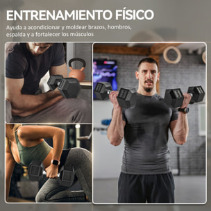 Juego de Mancuernas Hexagonales, 2 x 12,5 kg, de Hierro Fundido, Recubiertas de Goma, Juego de Pesas con Barras de Conexión para Entrenamiento en Casa, Gimnasio y Oficina, Negro y Plata