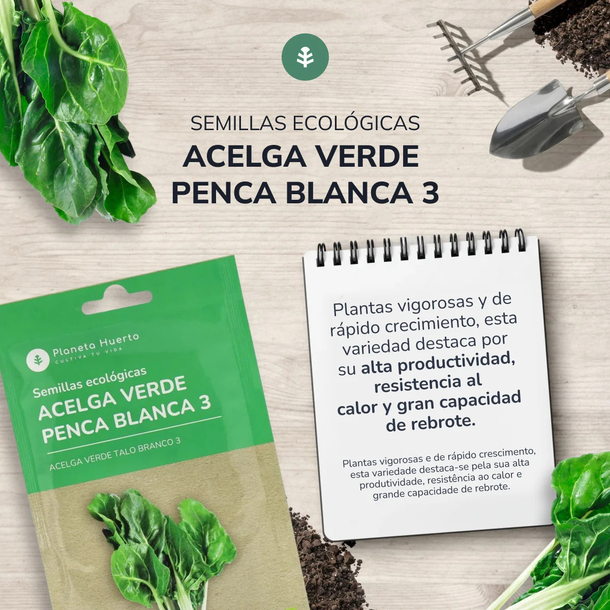 Semillas de Acelga Verde ecológicas Planeta Huerto