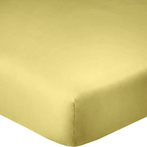 Drap Housse - Bonnet 35cm 100% Coton 57fils Gold
